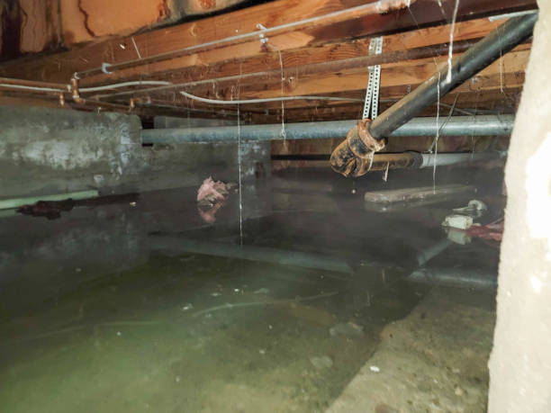 Water damage restoration process in Despard, WV