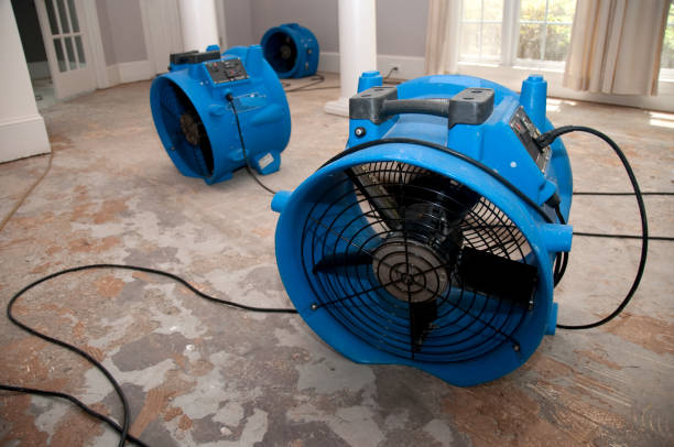 Best Flooded house restoration  in Despard, WV