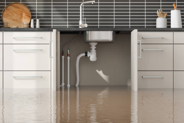 Best Water damage cleanup near me  in Despard, WV