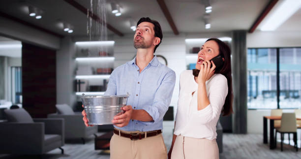 Best Carpet water damage restoration  in Despard, WV